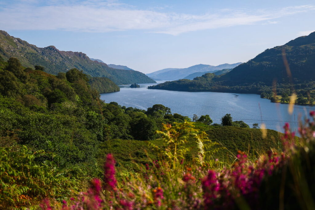 Vibrant Highland scenery of Loch Lomond from the West Highland Way with hills and wildflowers – breathtaking West Highland Way photos.
