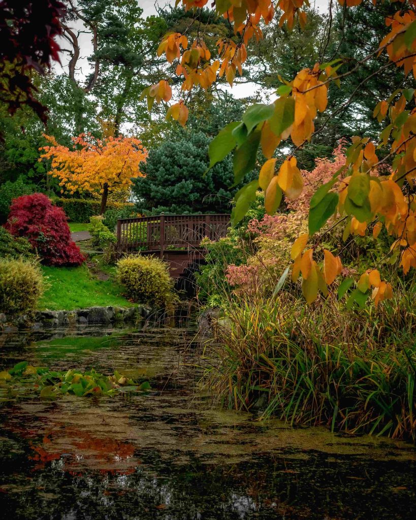 Autumn colours at Lauriston Castle in Edinburgh, Scotland, perfect for travellers deciding where to go in the UK in October