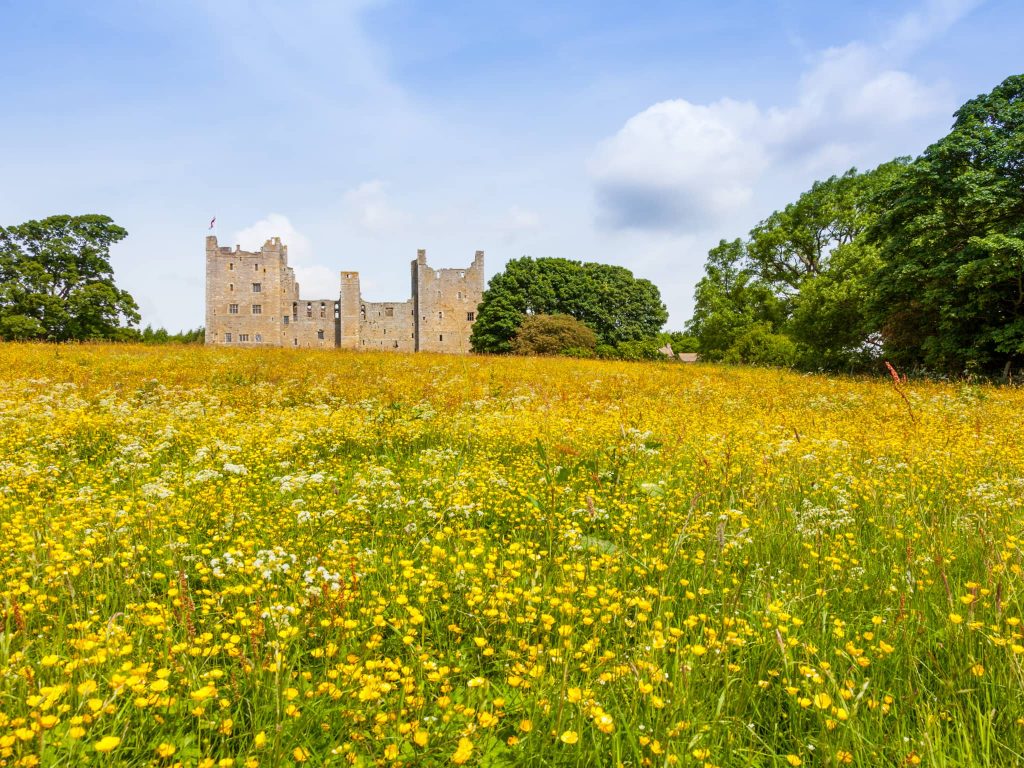 Bolton Castle in North Yorkshire surrounded by spring wildflowers, ideal for travellers planning the best time of year to visit England